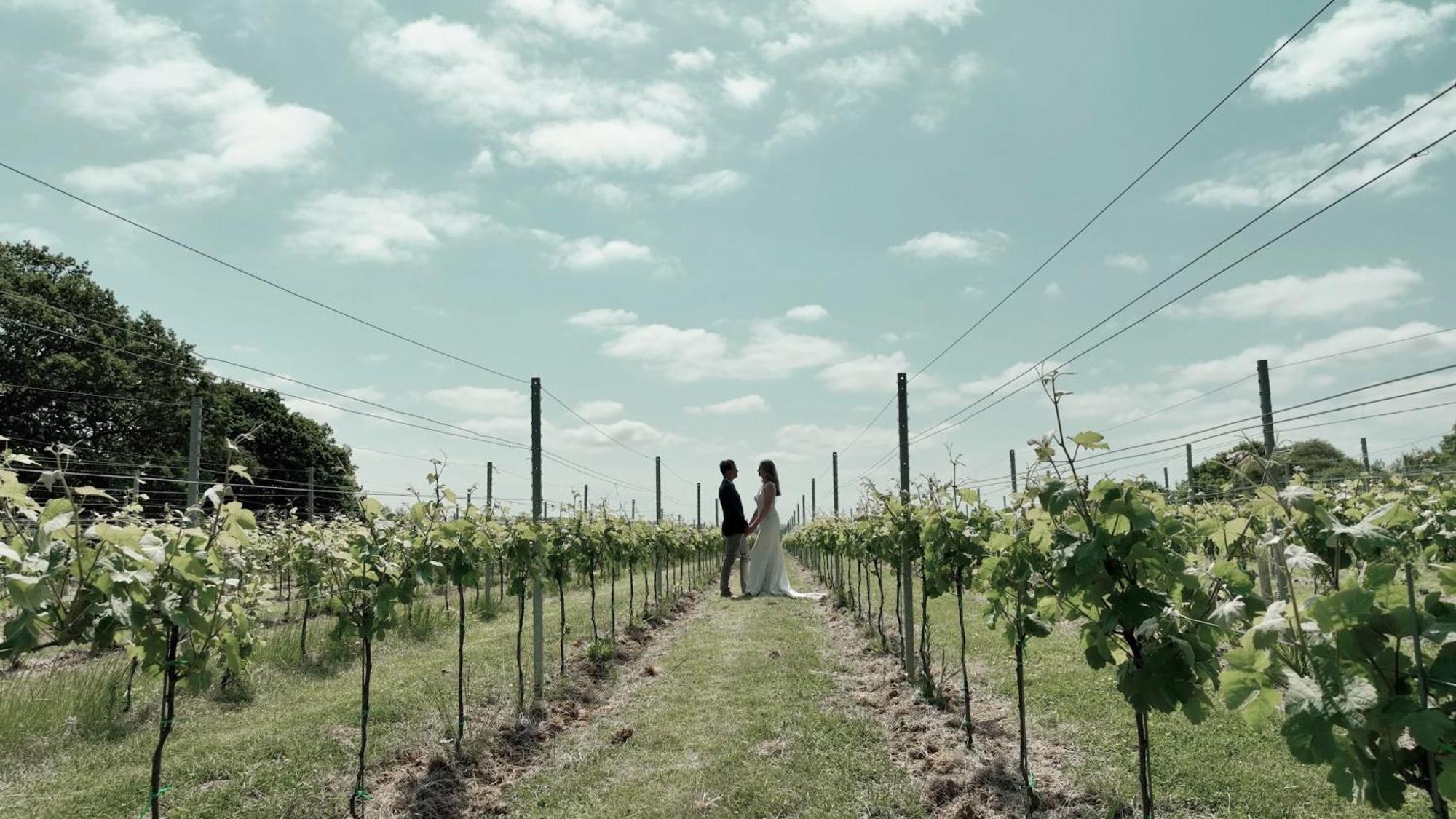 Osborne Pinkmead Estate And Vineyard别墅 外观 照片